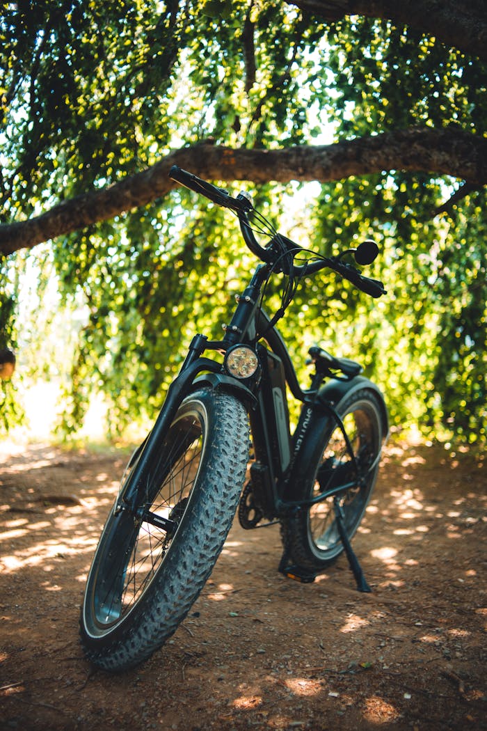 A modern electric bicycle parked under a lush tree offering shade on a sunny day.
